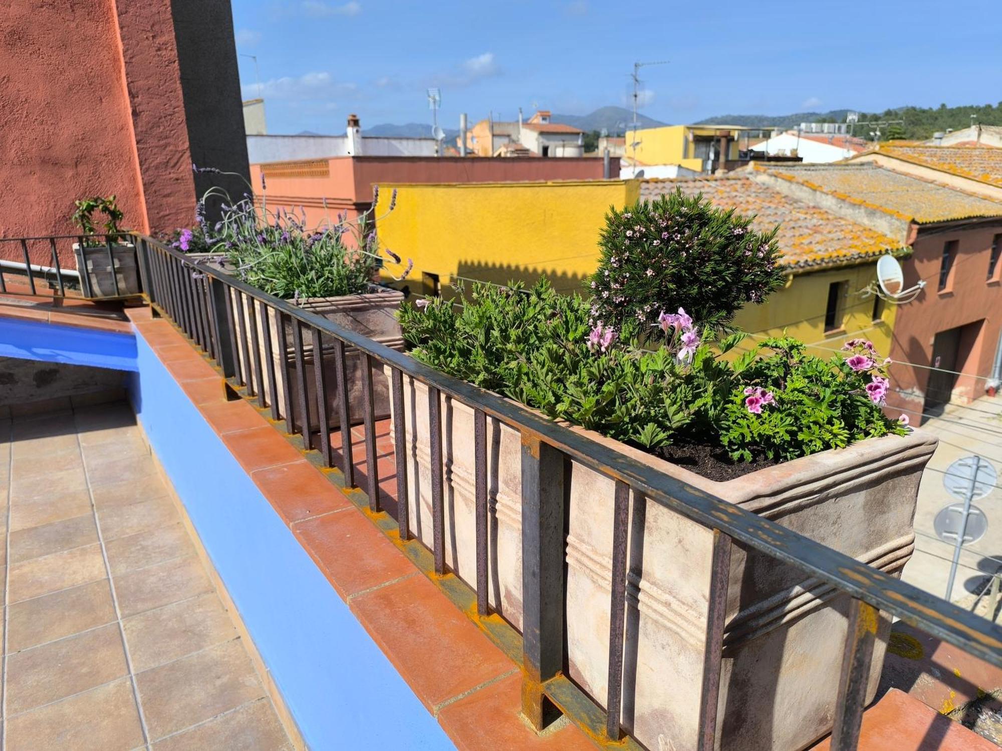 Ca La Lidia Apartment *